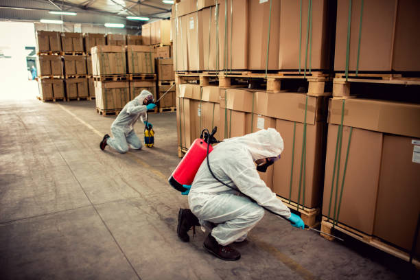 Best Local Pest Control Services  in Lincoln Park, MI