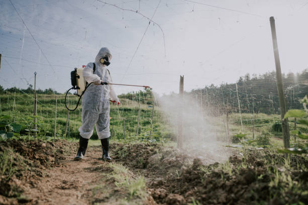 Best Ant Control Services  in Lincoln Park, MI