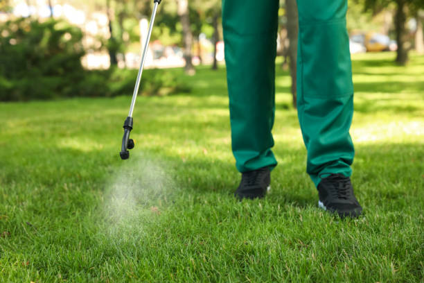 Best Pest Control Cost  in Lincoln Park, MI