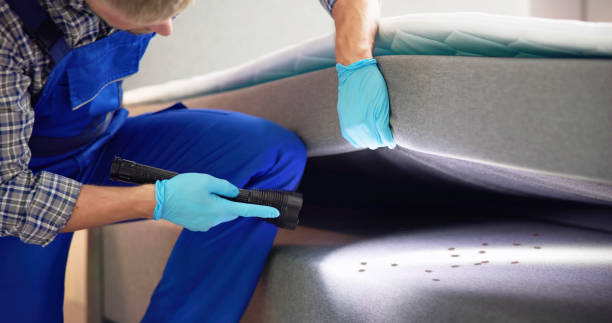 Best Exterminator Services  in Lincoln Park, MI