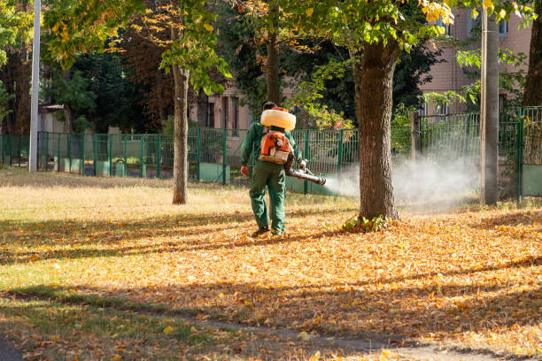Pest Control for Restaurants in Lincoln Park, MI
