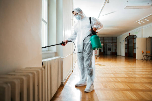 Best Best Pest Control Companies  in Lincoln Park, MI