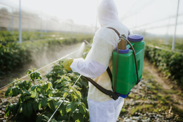 Best Residential Pest Control  in Lincoln Park, MI